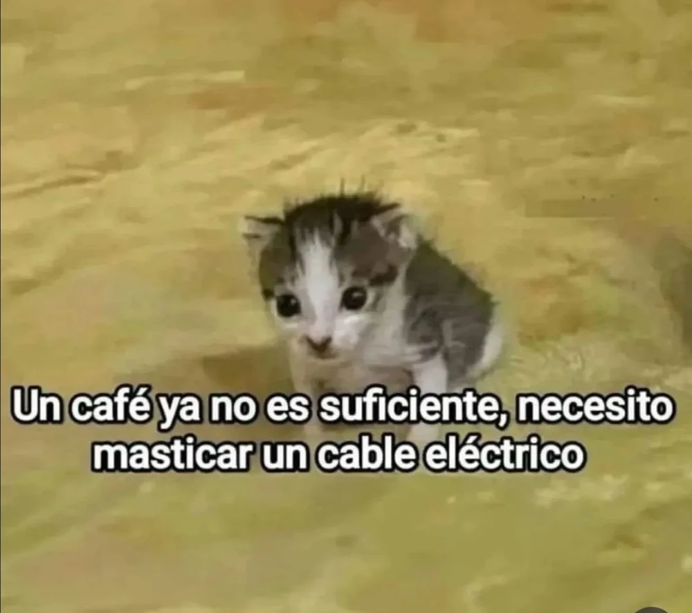 GIF uploaded by Alexis