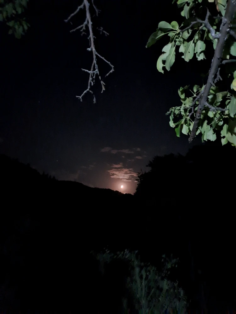 GIF жүктеген Данияр