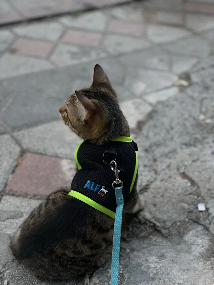 Bünyamin tarafından yüklenen GIF