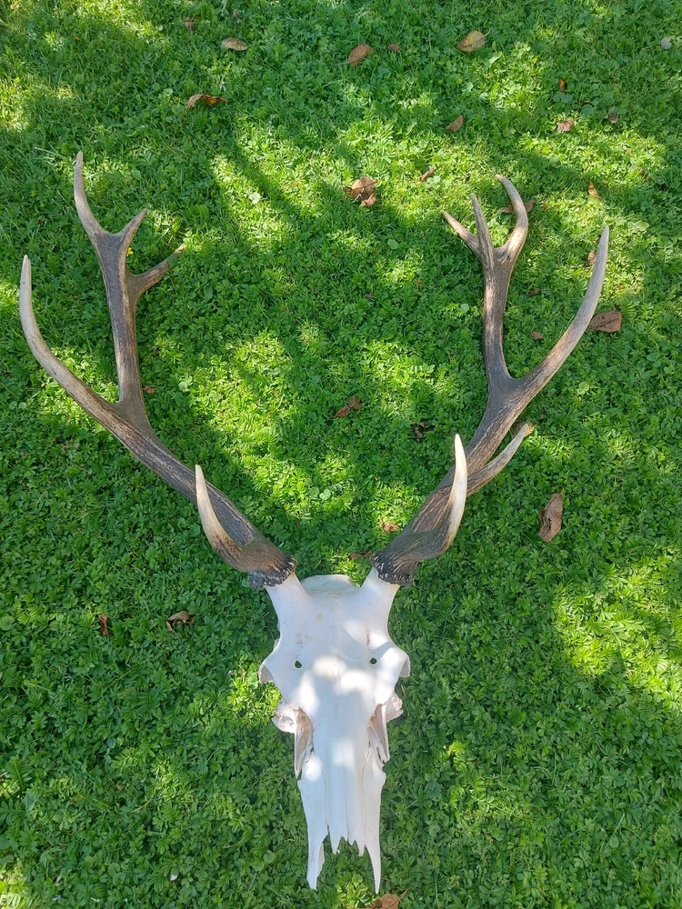 One of my last finished works