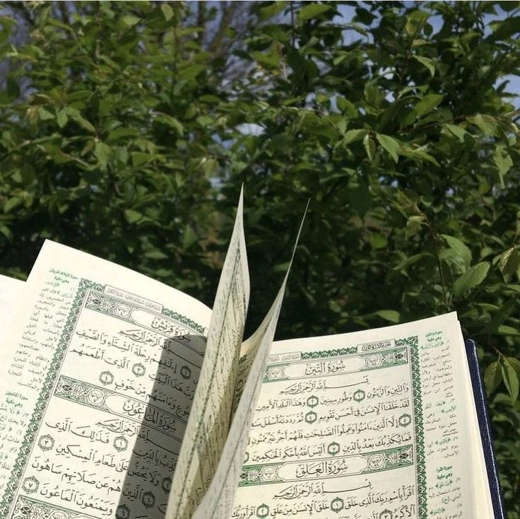 GIF رفعها MOHAMED