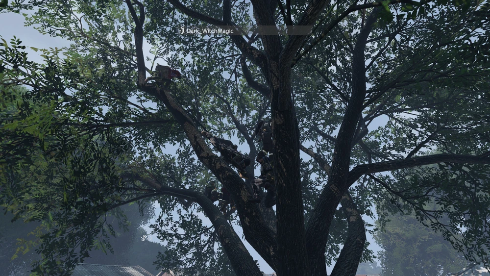 Image uploaded by Kathryn