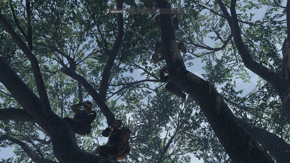 Image uploaded by Kathryn