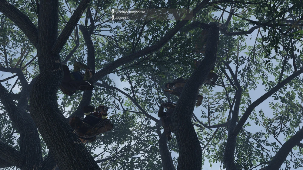 Image uploaded by Kathryn