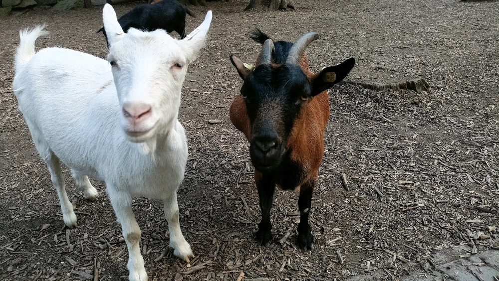 Zdjęcie dodane przez Łukasz