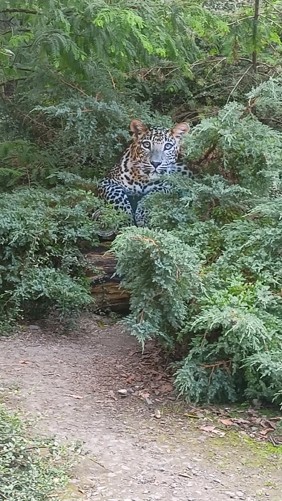 Zdjęcie dodane przez Łukasz