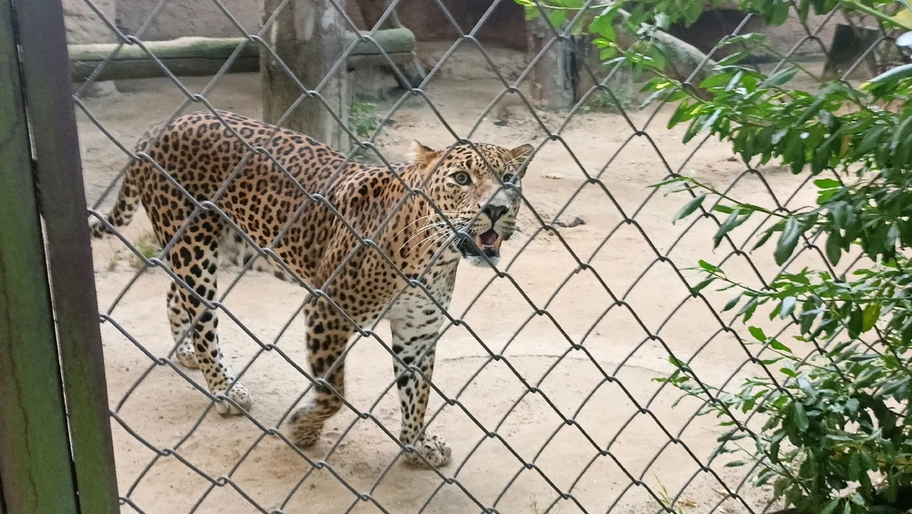 Zdjęcie dodane przez Łukasz