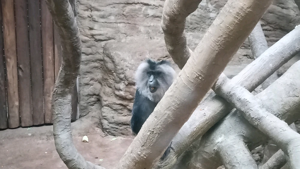 Zdjęcie dodane przez Łukasz