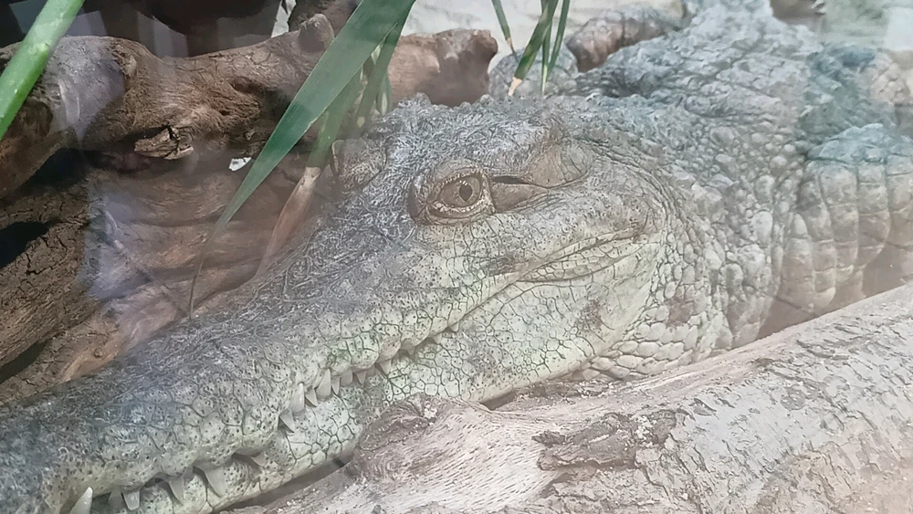 Zdjęcie dodane przez Łukasz