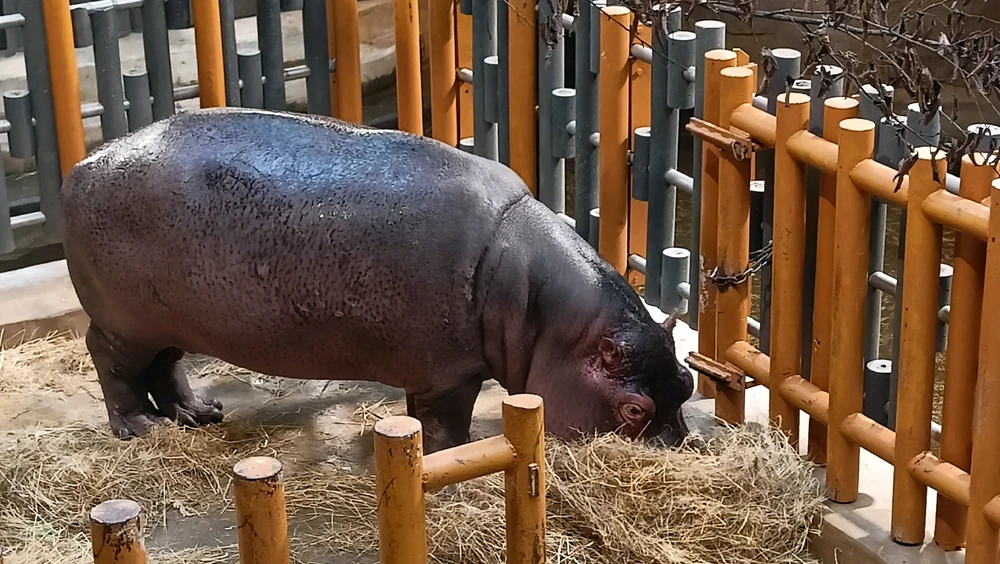 Zdjęcie dodane przez Łukasz