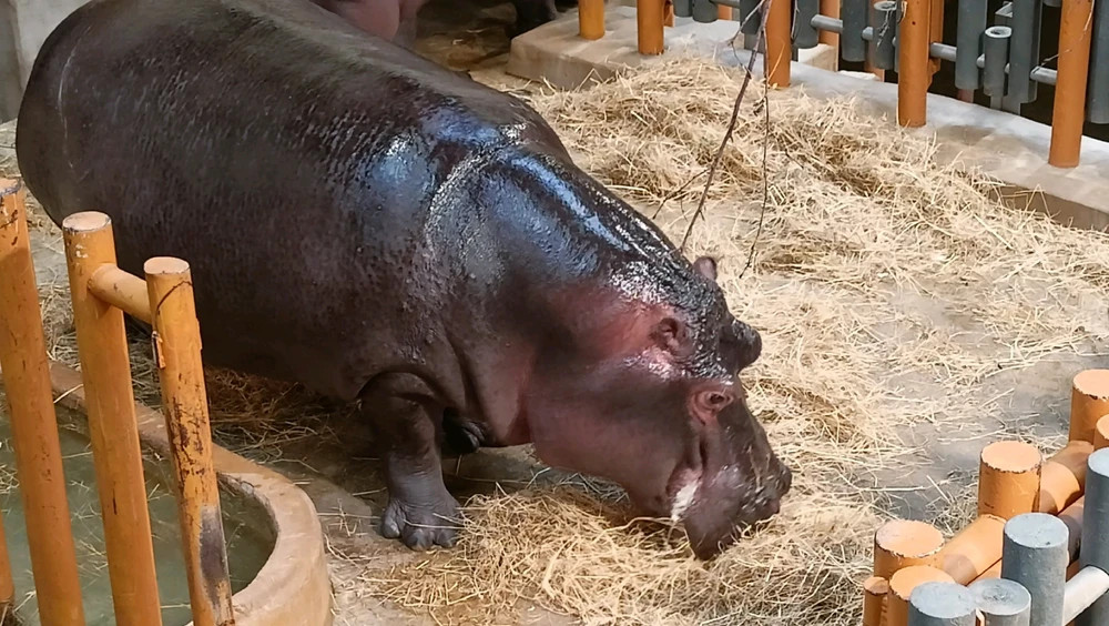 Zdjęcie dodane przez Łukasz