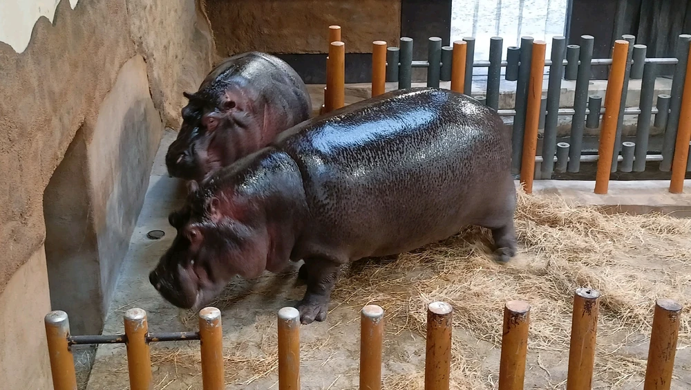 Zdjęcie dodane przez Łukasz