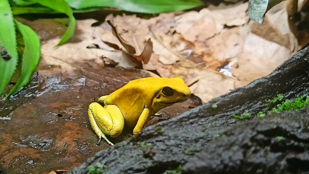 Zdjęcie dodane przez Łukasz