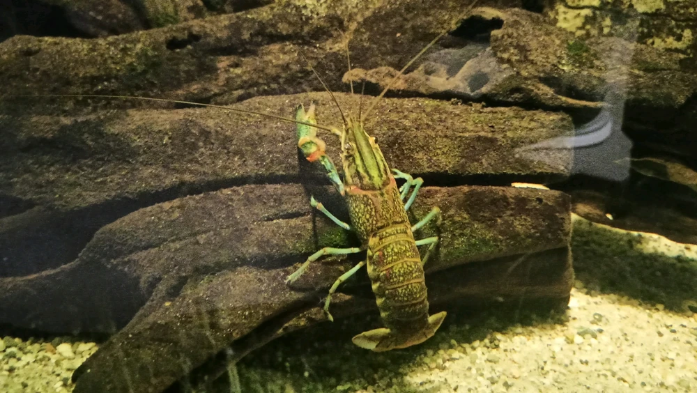 Zdjęcie dodane przez Łukasz