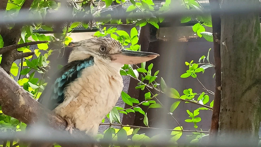 Zdjęcie dodane przez Łukasz