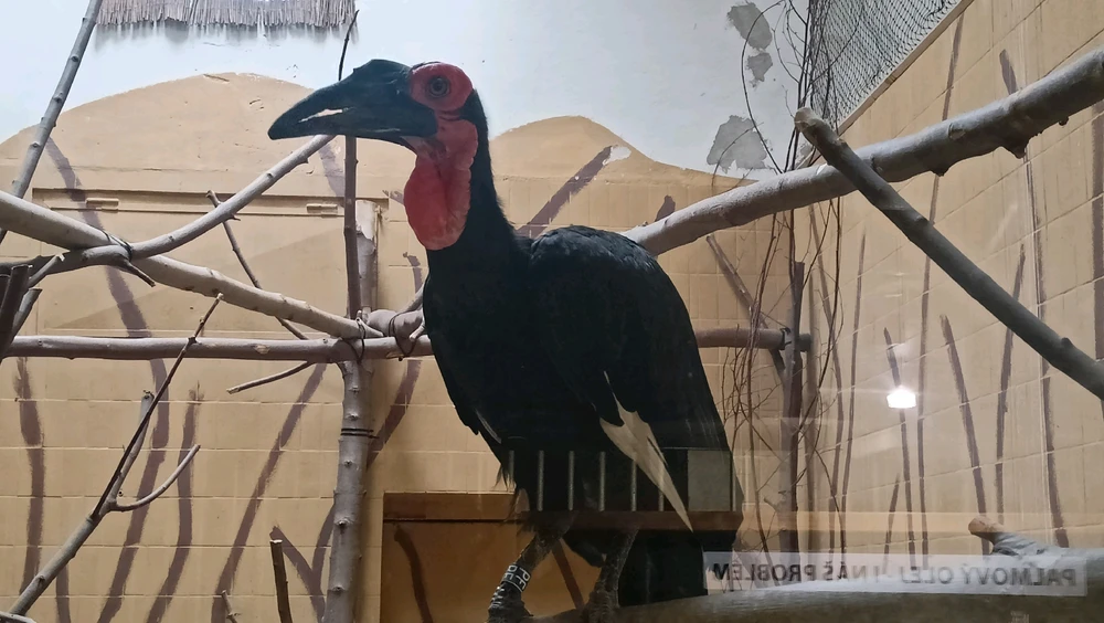 Zdjęcie dodane przez Łukasz