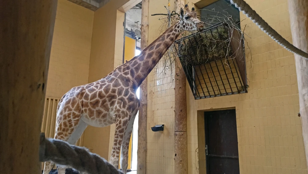 Zdjęcie dodane przez Łukasz