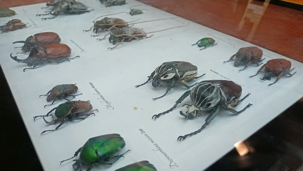 Zdjęcie dodane przez Łukasz