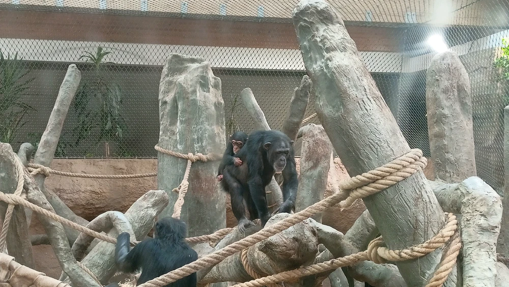 Zdjęcie dodane przez Łukasz