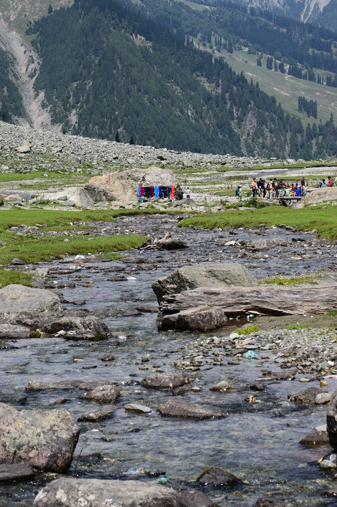 Image uploaded by Dikshita
