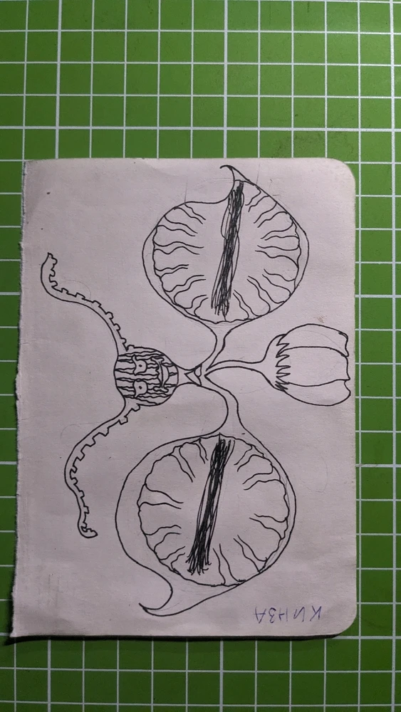 Image uploaded by PanFabn