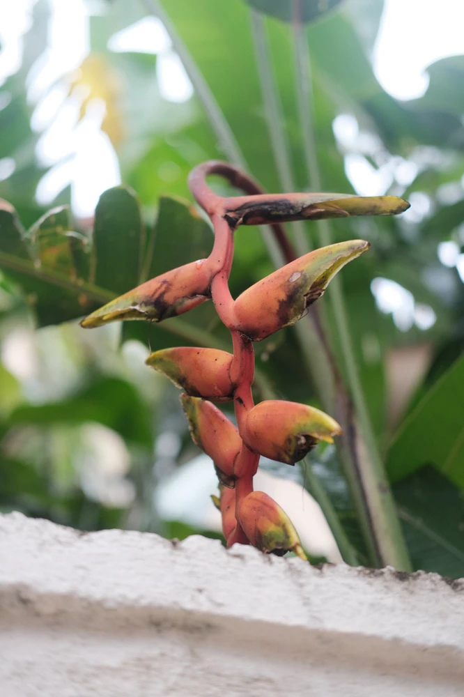 Image uploaded by Alo