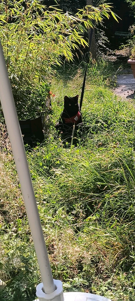 GIF uploaded by Jodie