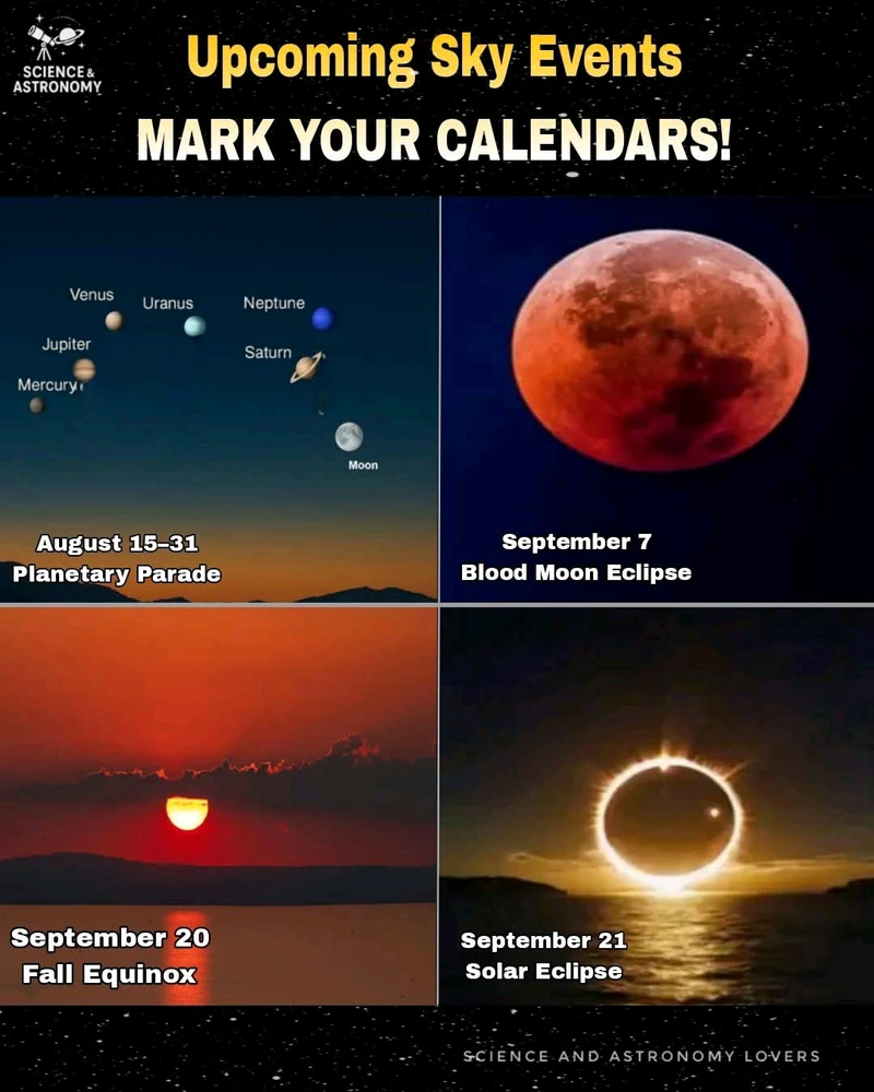 GIF hochgeladen von Osthexe