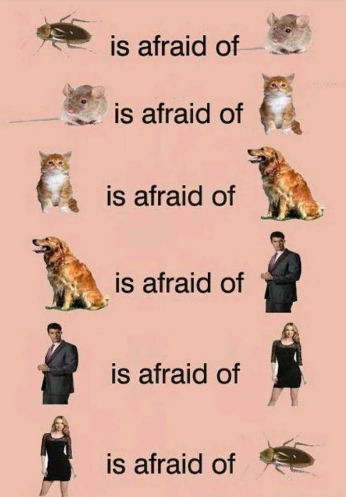 Ŕąfet 上傳的 GIF