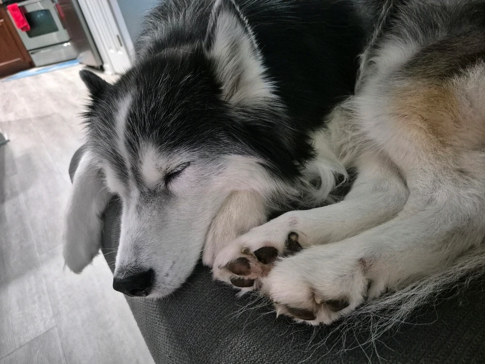 Image uploaded by Victoria