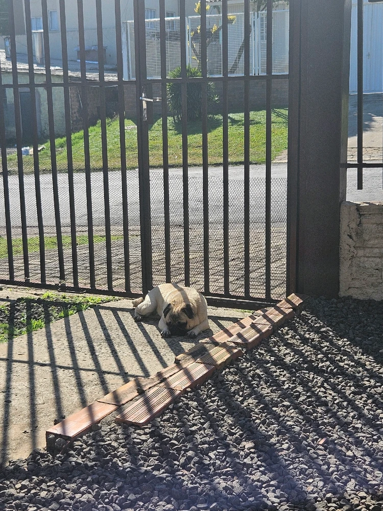 Imagem enviada por Henrique