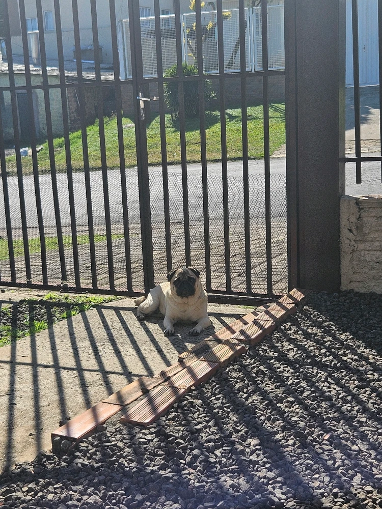 Imagem enviada por Henrique