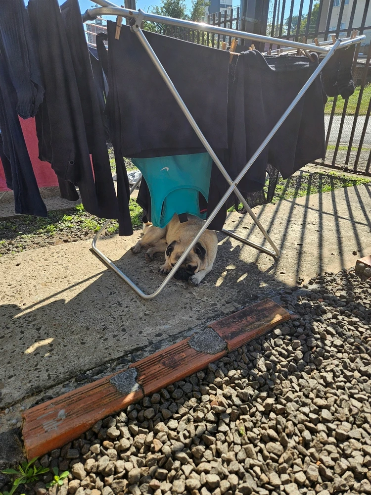 Imagem enviada por Henrique