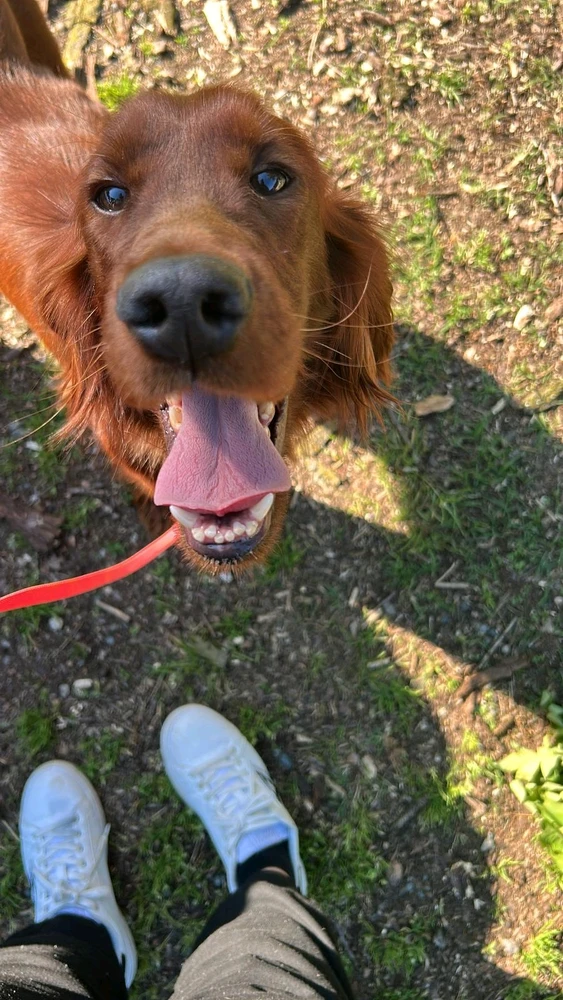 GIF caricata da Ruben