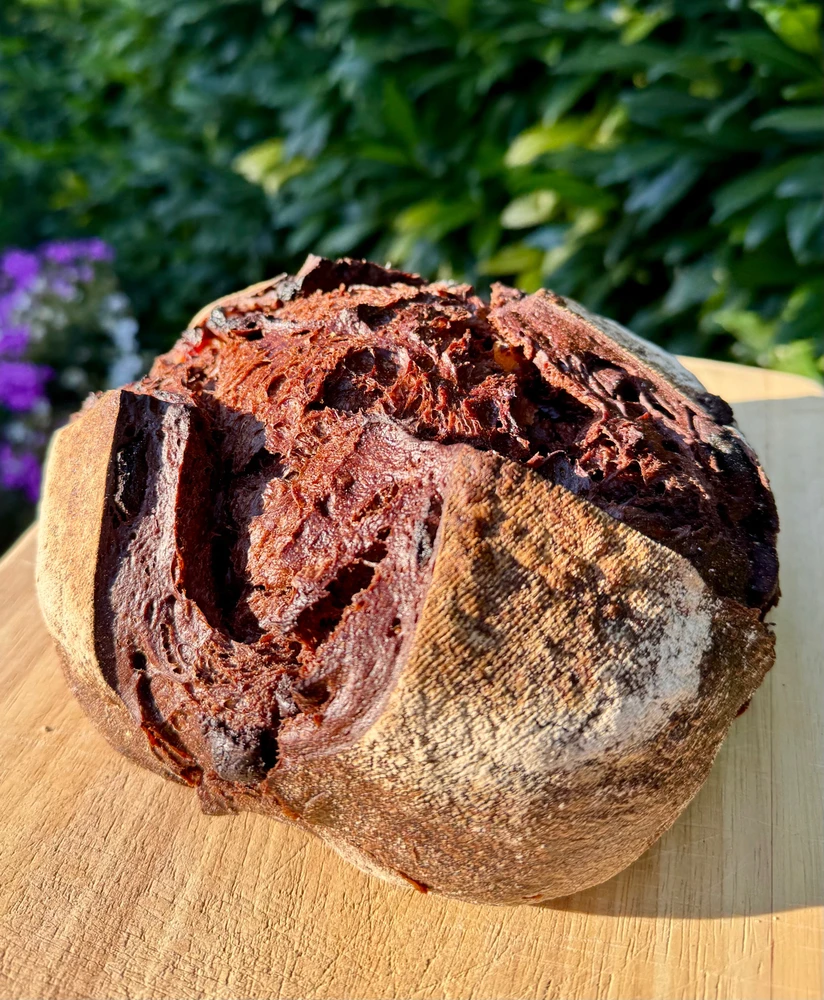 Bild hochgeladen von Robert