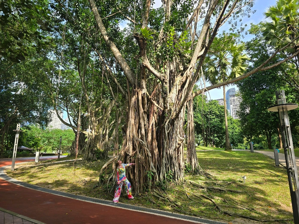Kuala Lumpur: Where Urban Majesty Meets Untamed Wilderness