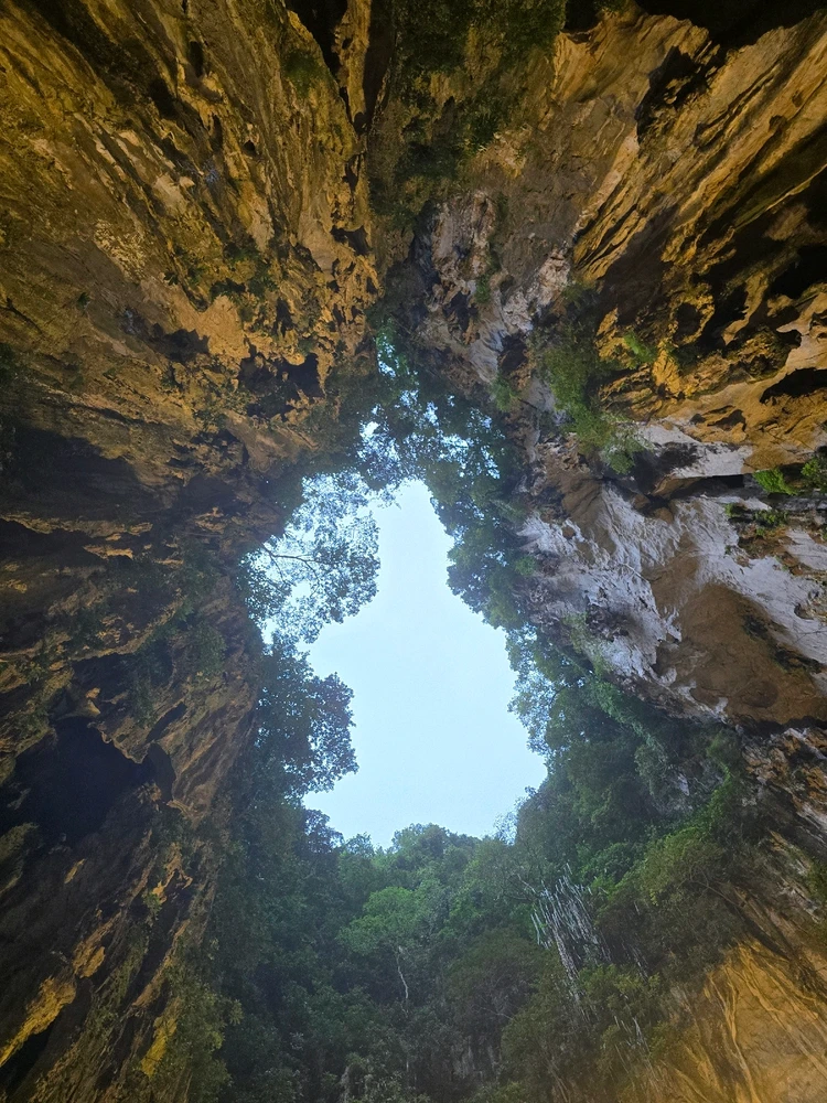 Kuala Lumpur: Where Urban Majesty Meets Untamed Wilderness