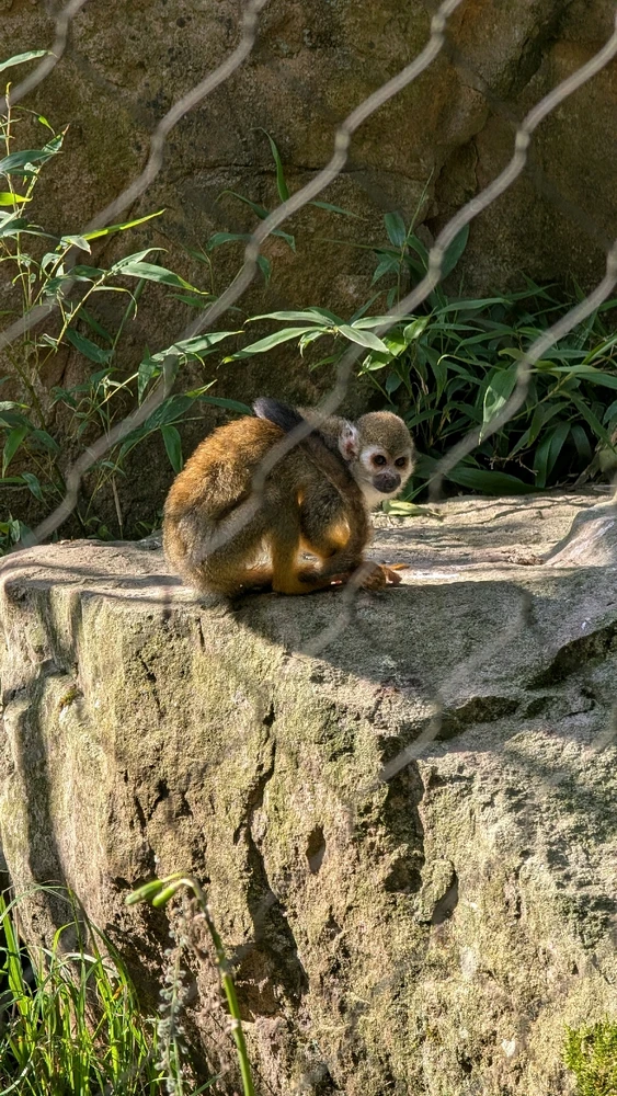 Obrázek nahrál Honza