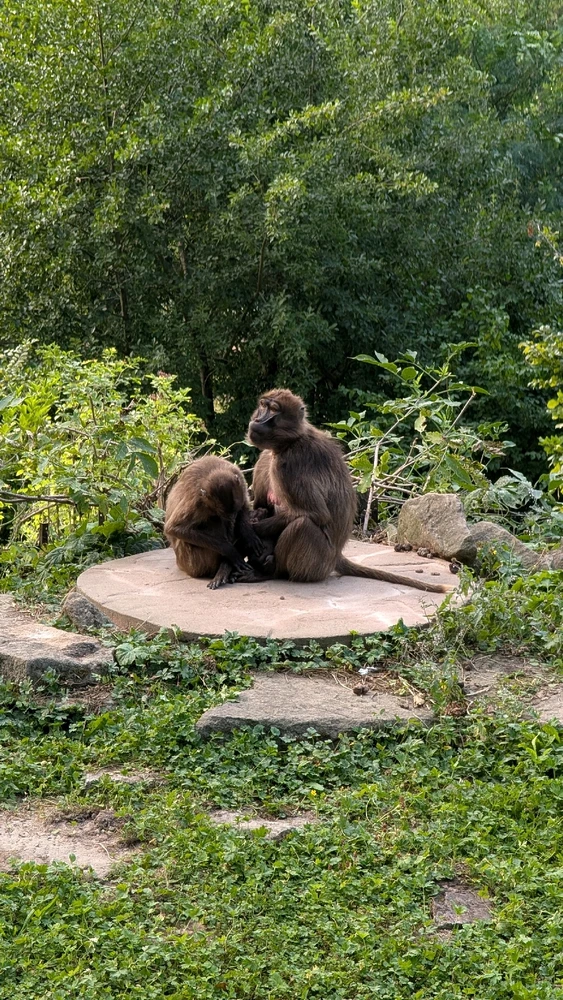 Obrázek nahrál Honza