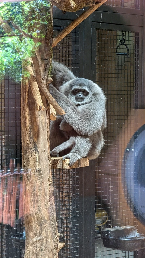 Obrázek nahrál Honza