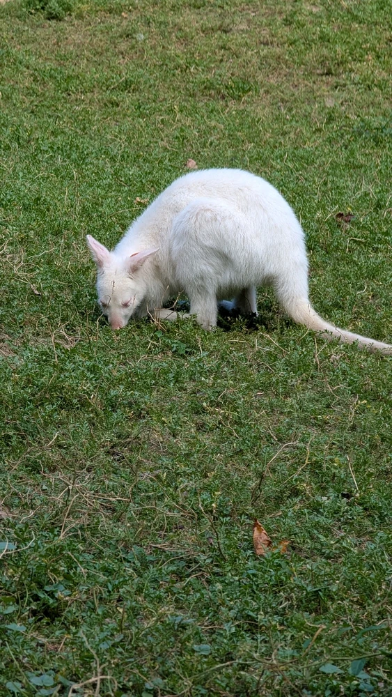 Obrázek nahrál Honza