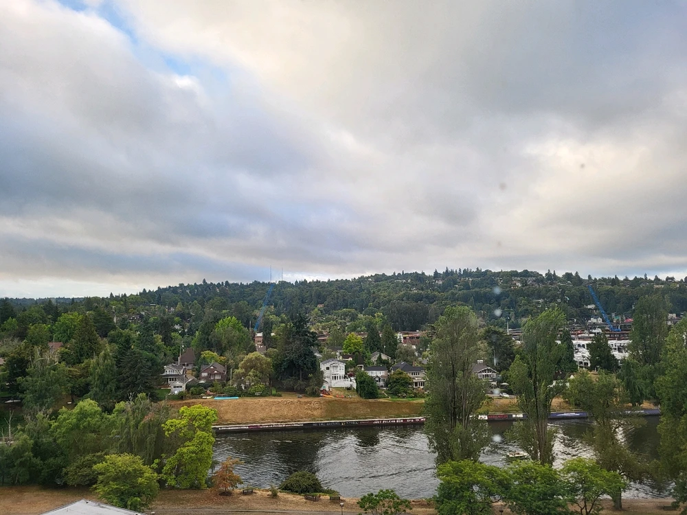 Image uploaded by Dylan