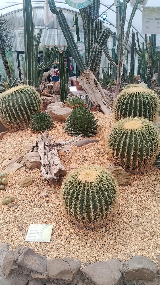 Image uploaded by Ruben