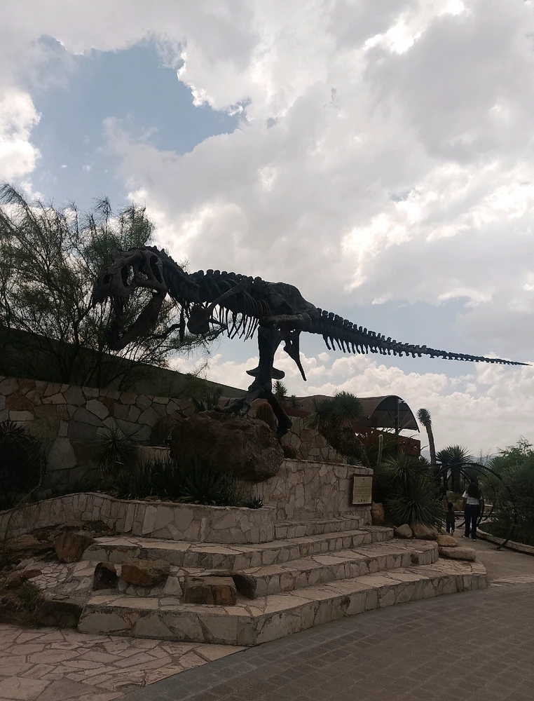 Image uploaded by Ruben