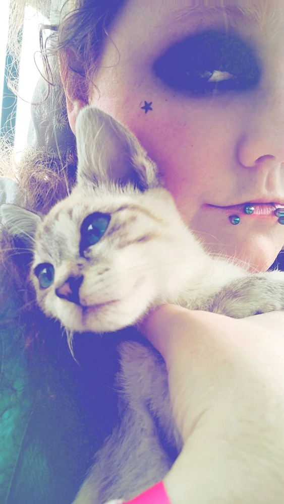 Image uploaded by Elara Ellewood