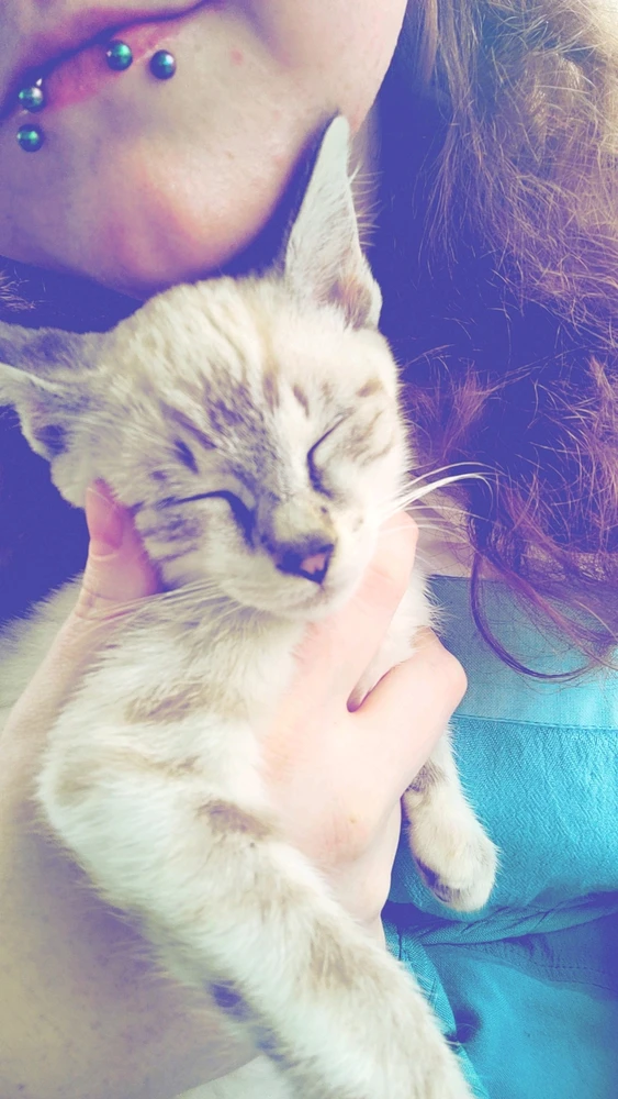 Image uploaded by Elara Ellewood