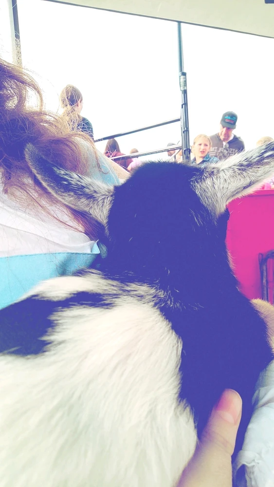 Image uploaded by Elara Ellewood