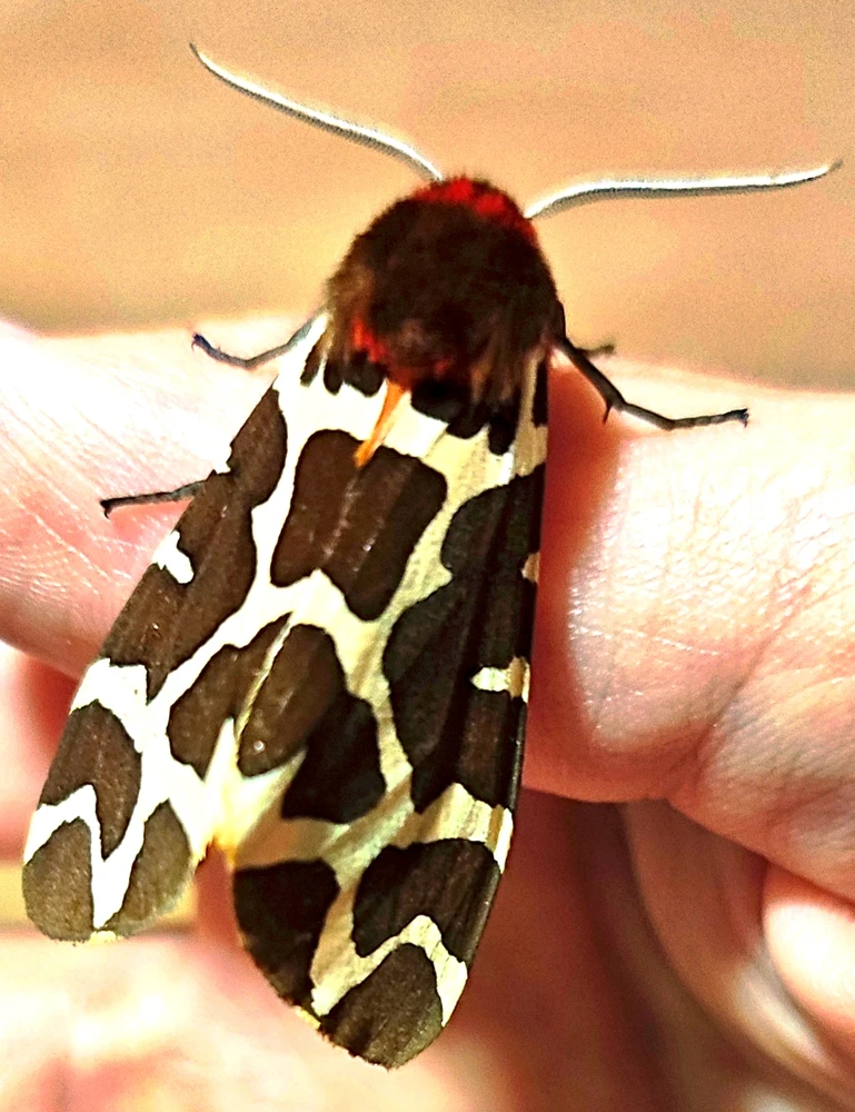 Image uploaded by 🌒🌓🌔Valentina🌖🌗🌘