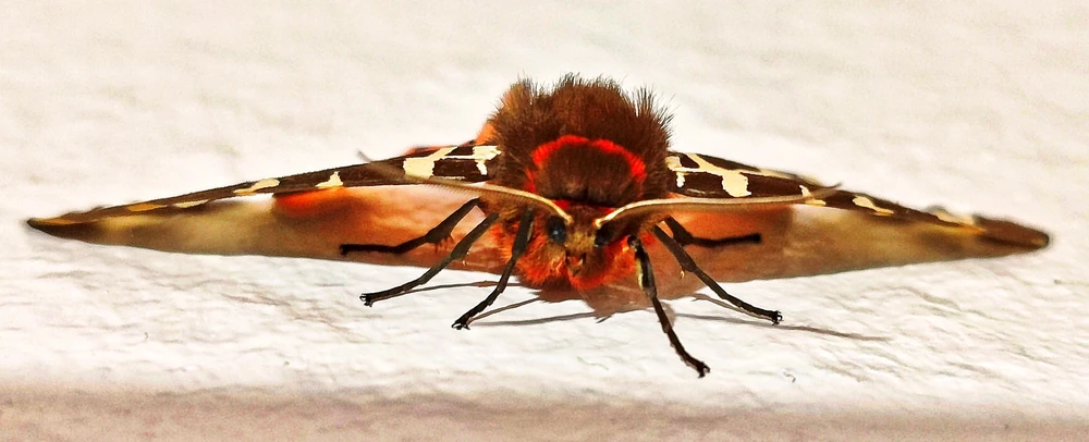 Image uploaded by 🌒🌓🌔Valentina🌖🌗🌘