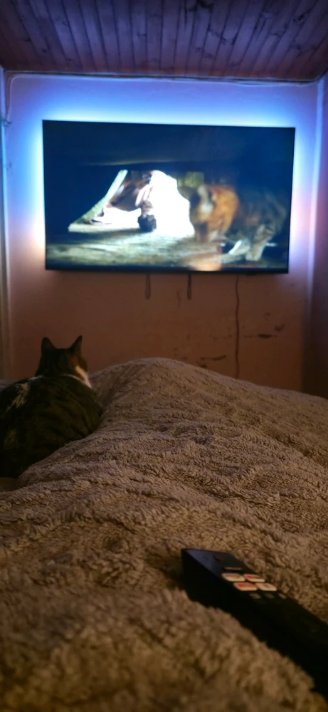 GIF subido por Jonathan